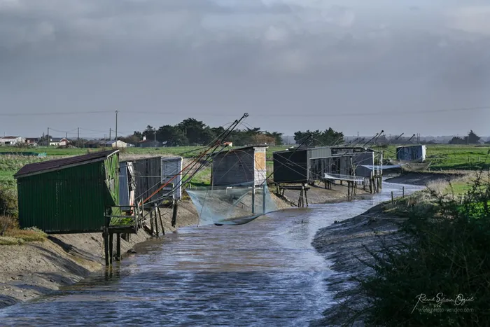Cabanes de pêcheurs présentent dans les marais vendéen