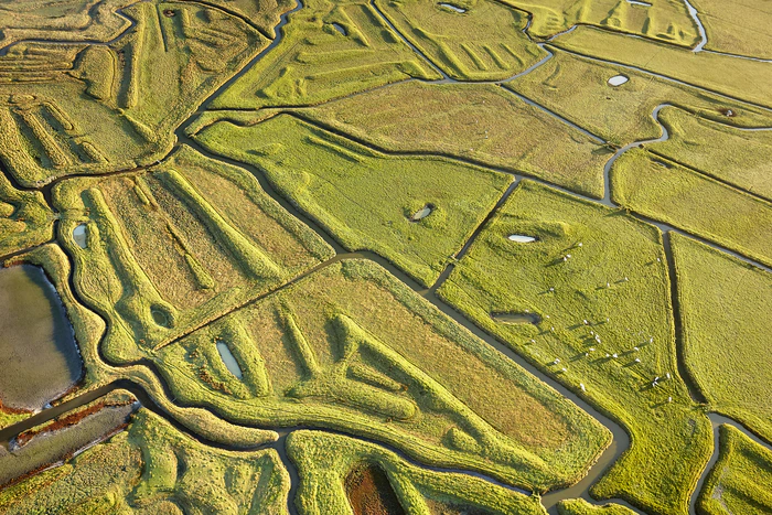 Le marais Breton Vendéen vue du ciel
